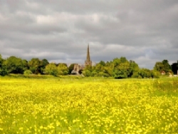Snettisham Meadows Camping And Glamping