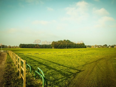 Apps Court Farm Campsite