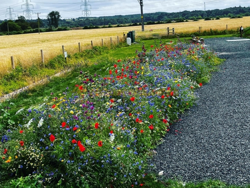 Highland Gateway Glamping And Caravanning
