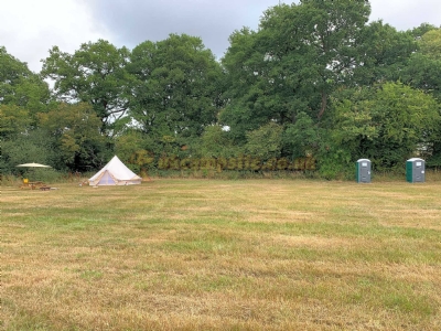 Maplehurst Farm Popup Site