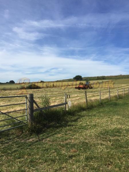 Swift Farm Camping