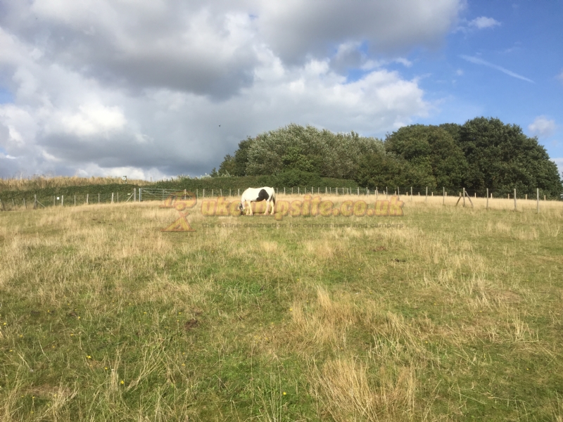 Swift Farm Camping