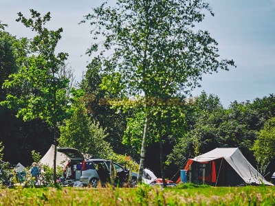 Het Bos Roept Camping
