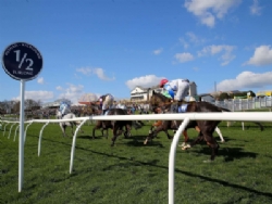 Hexham Racecourse Caravan And Camping Site