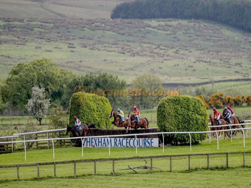 Hexham Racecourse Campsite