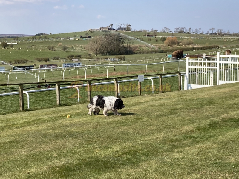 Hexham Racecourse Campsite