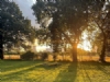 Laurels Park Certificated Location