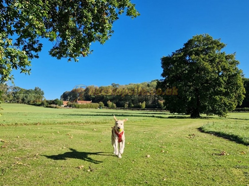 High Oaks Grange Glamping Pods