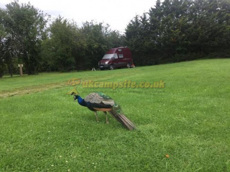 Aldborough Hall Farm Caravan And Campsite