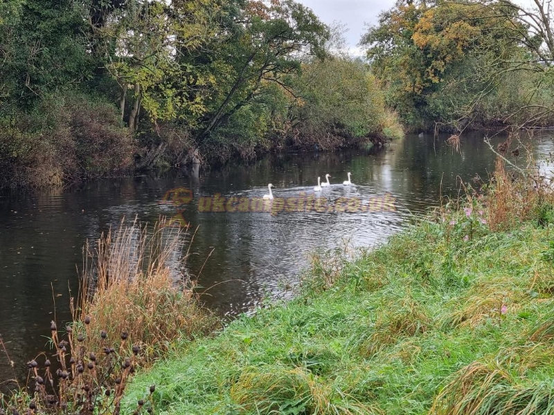 Newbridge Country Park