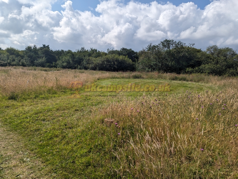 Mushroom Meadow At Trefewha Farm Campsite