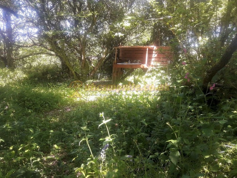 Mushroom Meadow At Trefewha Farm Campsite