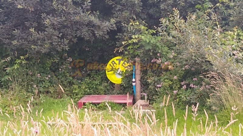 Mushroom Meadow At Trefewha Farm Campsite