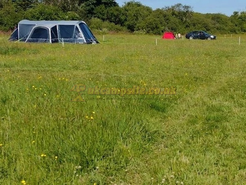 Mushroom Meadow At Trefewha Farm Campsite