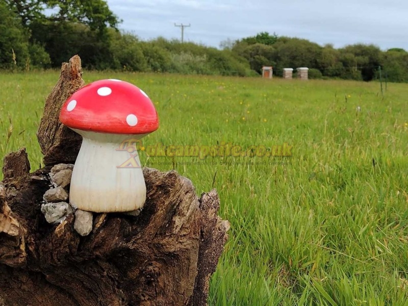 Mushroom Meadow At Trefewha Farm Campsite