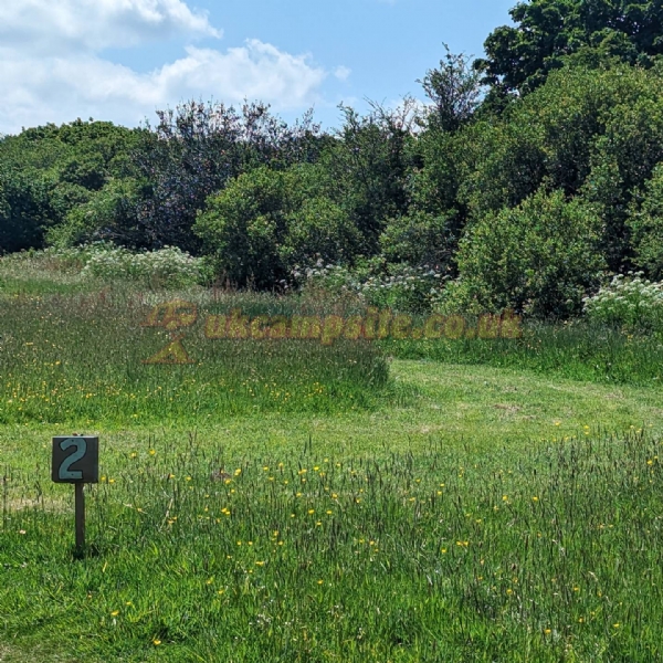 Mushroom Meadow At Trefewha Farm Campsite