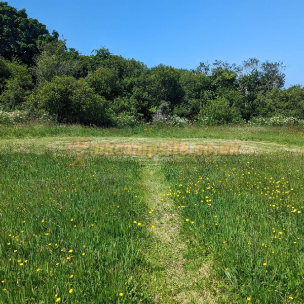 Mushroom Meadow At Trefewha Farm Campsite