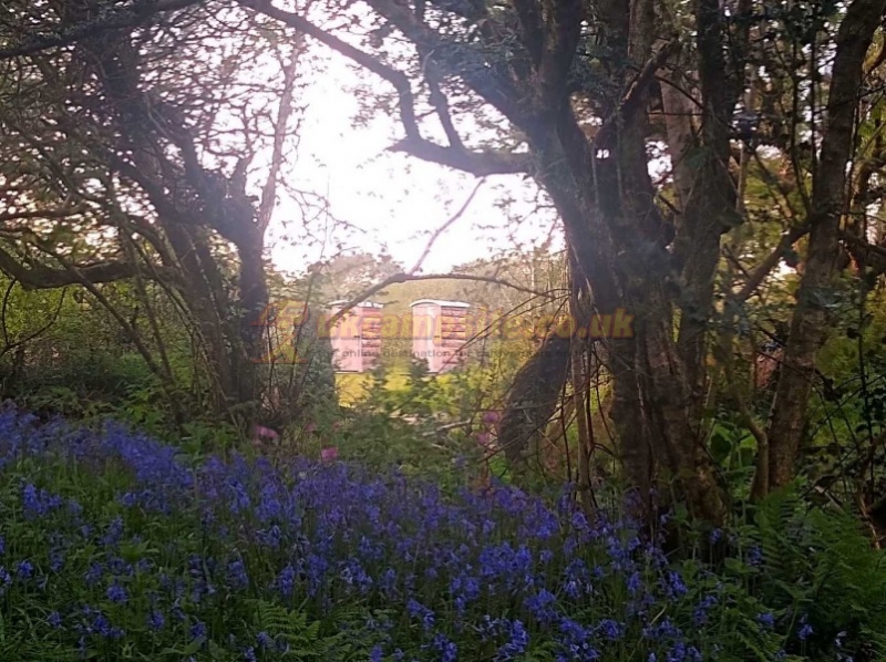 Mushroom Meadow At Trefewha Farm Campsite
