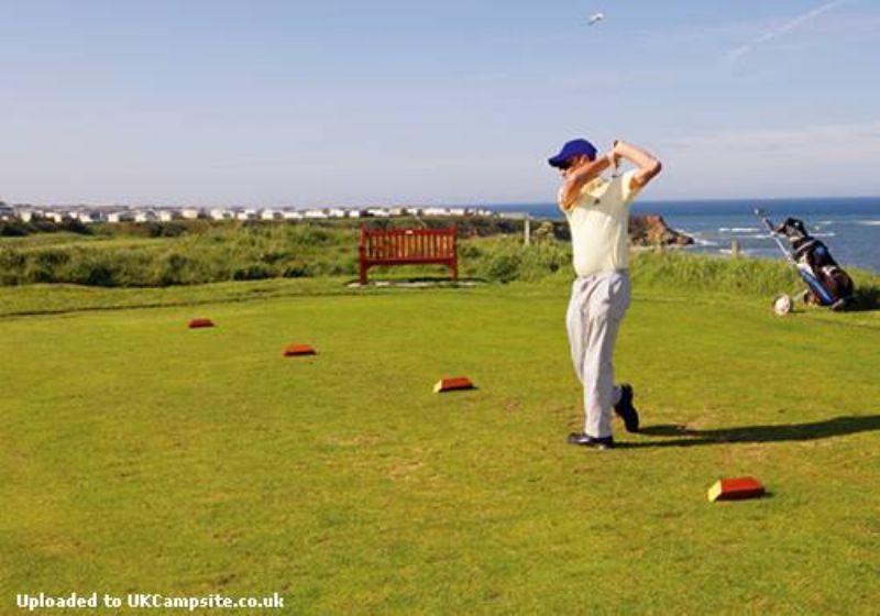 Berwick Holiday Centre (haven Holidays)