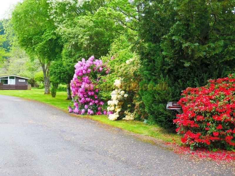 Forest Glen Holiday Park
