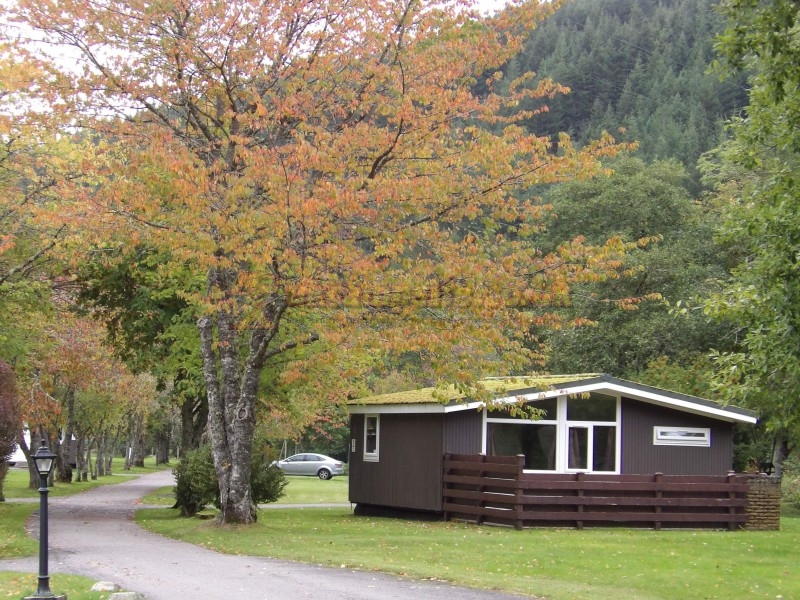 Forest Glen Holiday Park