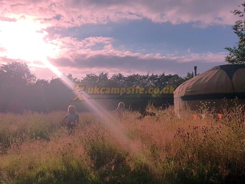 Orchid Meadows Glamping Holidays