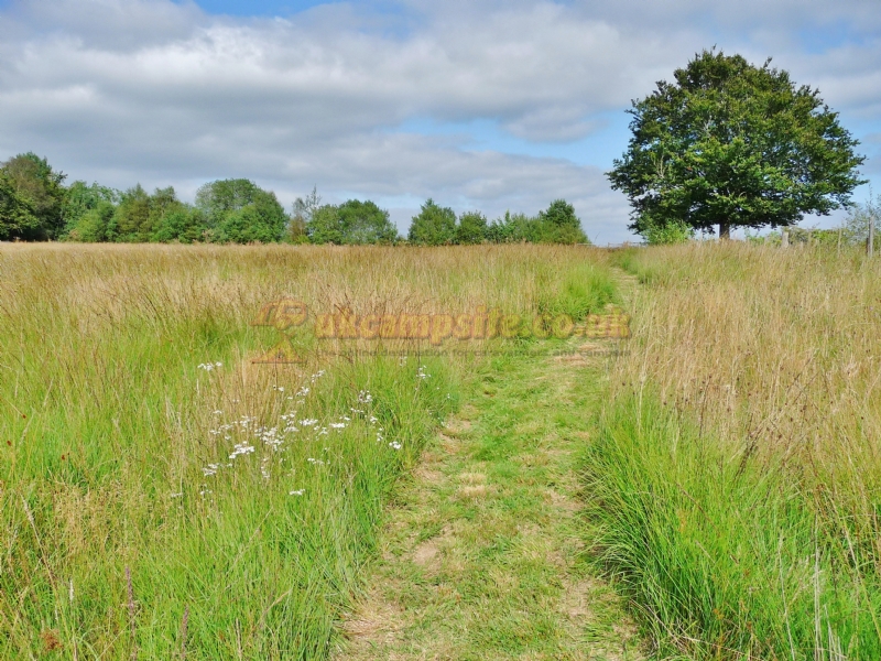 Orchid Meadows Glamping Holidays