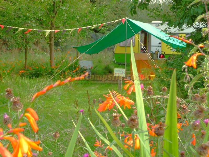 Orchid Meadows Glamping Holidays