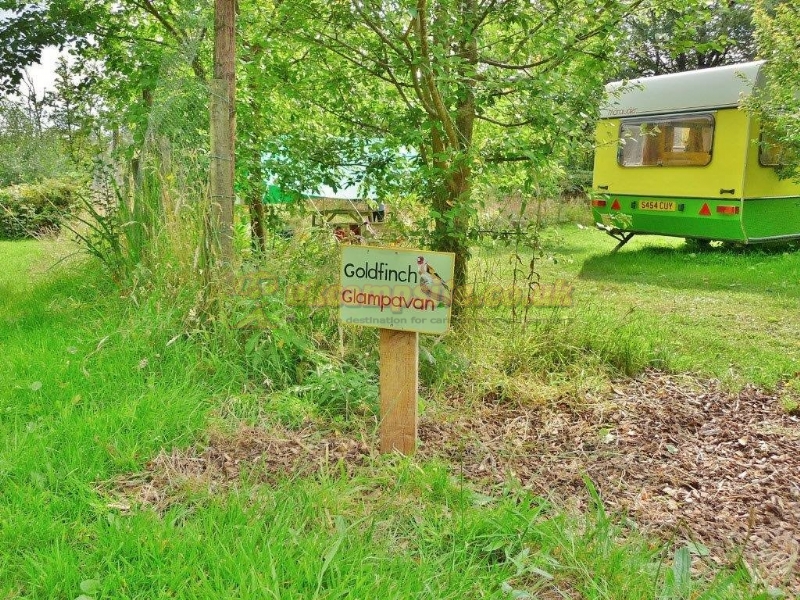 Orchid Meadows Glamping Holidays