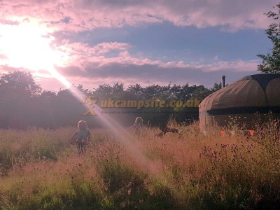 Orchid Meadows Glamping Holidays Orchid Meadows Glamping Holidays