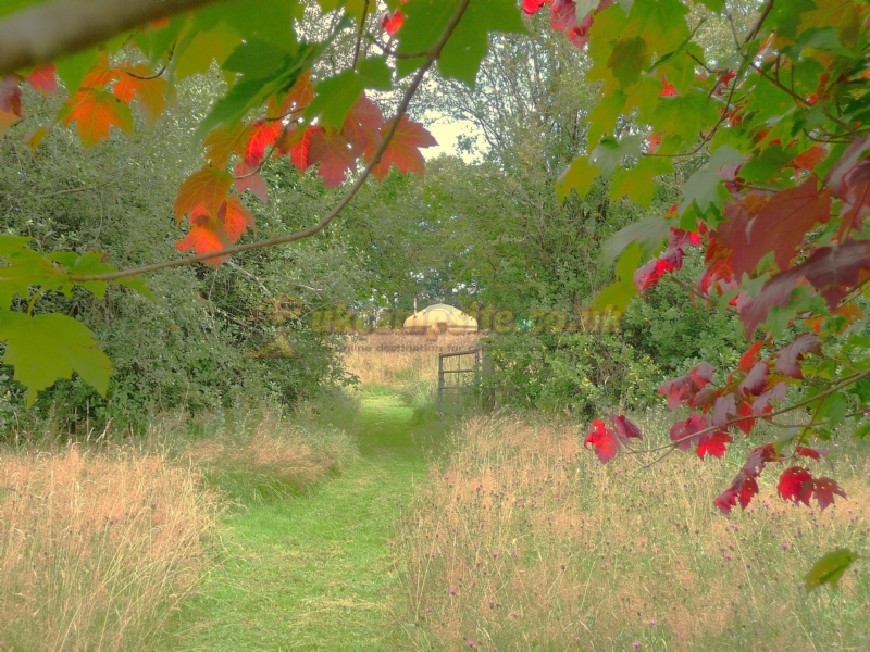 Orchid Meadows Glamping Holidays