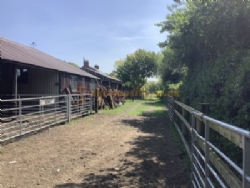 Station Farm Camping