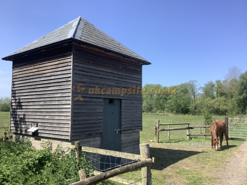 Station Farm Camping