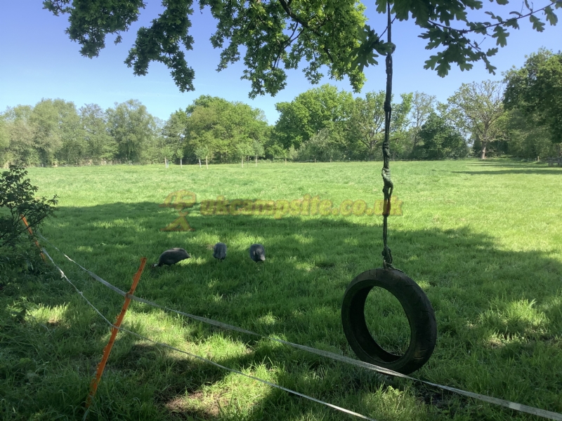 Station Farm Camping