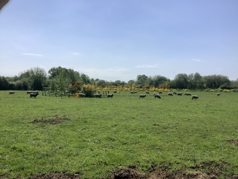 Station Farm Camping