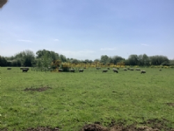 Station Farm Camping