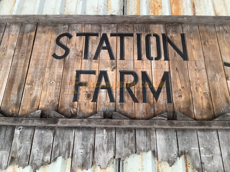 Station Farm Camping