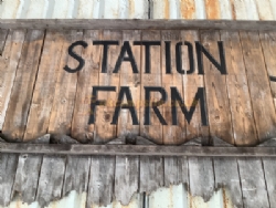 Station Farm Camping