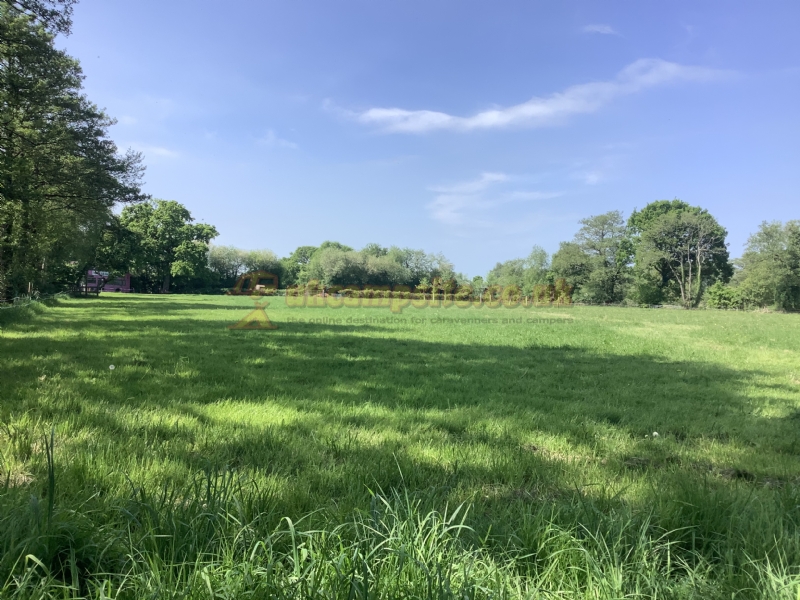 Station Farm Camping