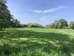 Station Farm Camping