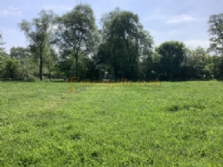 Station Farm Camping