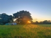 Beetlebank Farm Wild Camping Beetlebank Farm Wild Camping
