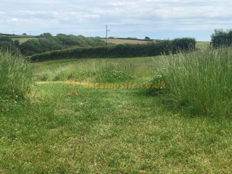 Pittaford Farm Camping