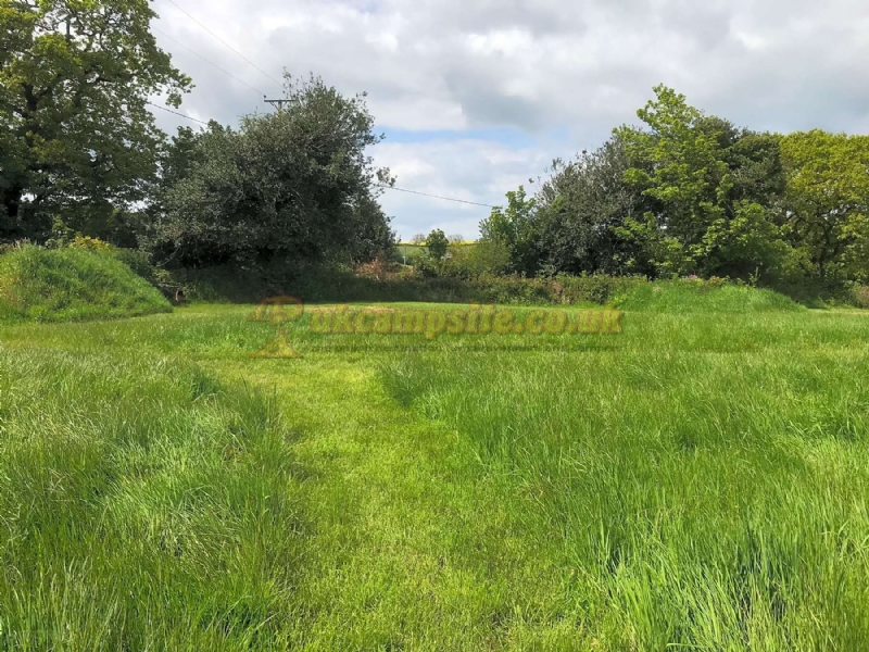 Pittaford Farm Camping