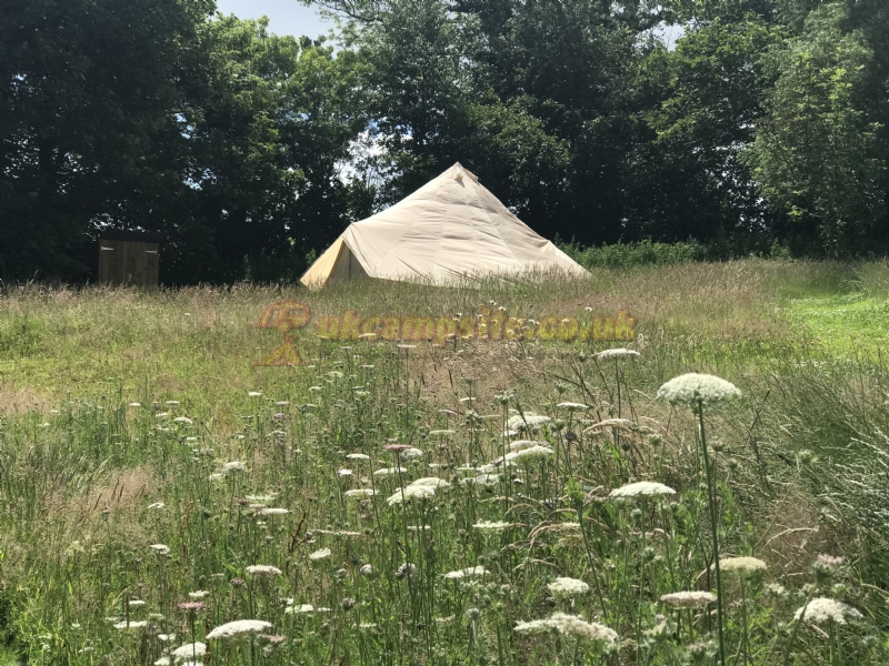 Pittaford Farm Camping