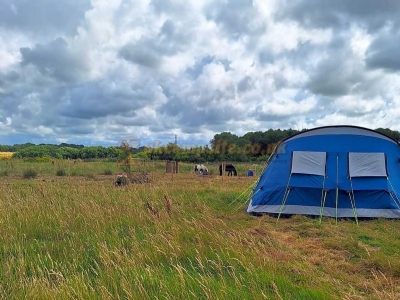 Whyndyke Farm Campsite Whyndyke Farm Campsite