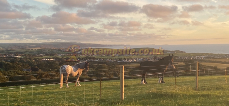 Mount Pleasant Camping