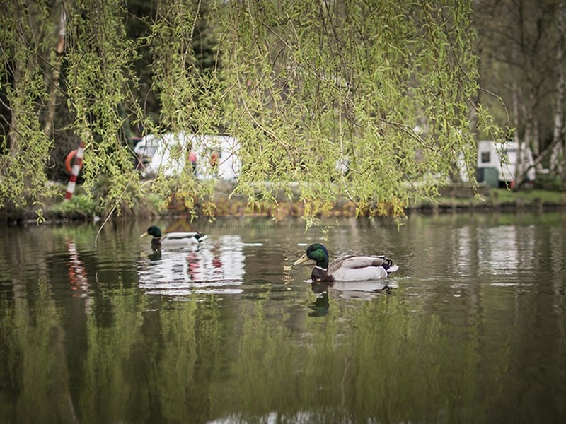 Holme Valley Camping And Caravan Park