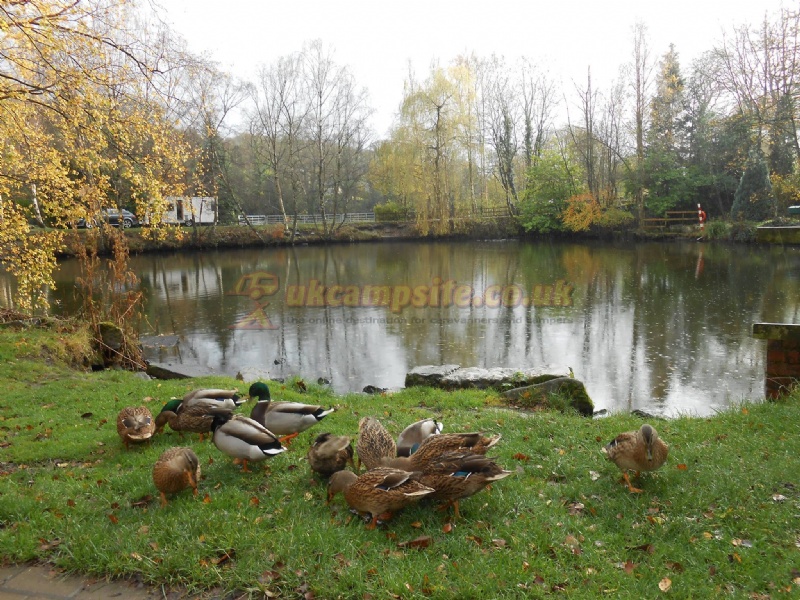 Holme Valley Camping And Caravan Park