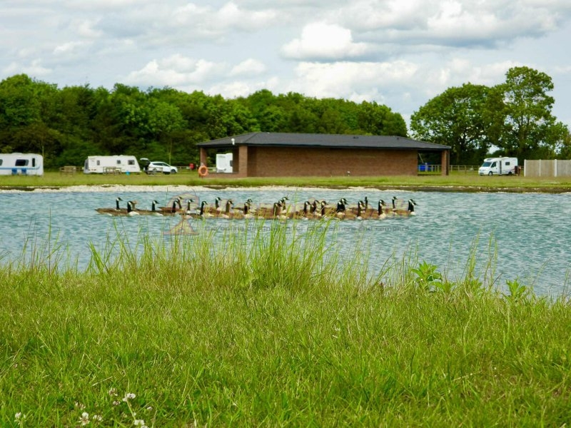 Street Farm Caravan Park